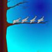 international cartoon competitions in india